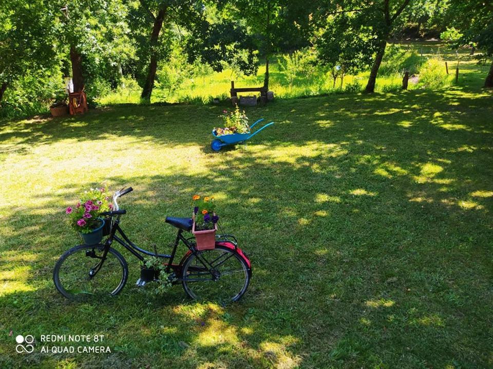 サンタ・コンバ・ダン Casas Vale Martinho Bed & Breakfast エクステリア 写真